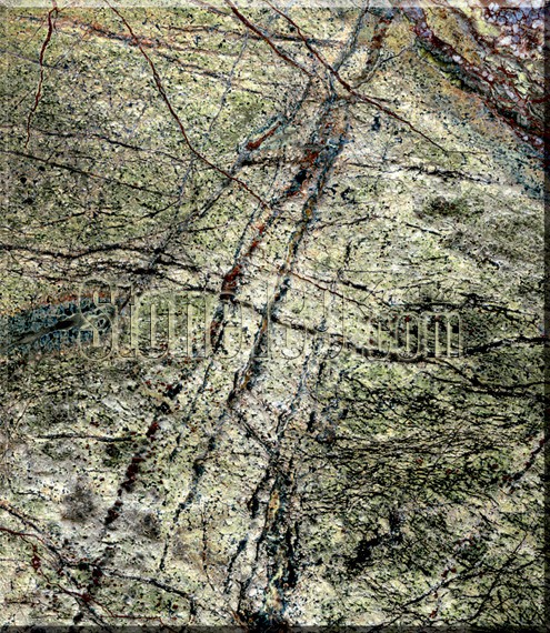 進口綠色大理石熱帶雨林綠