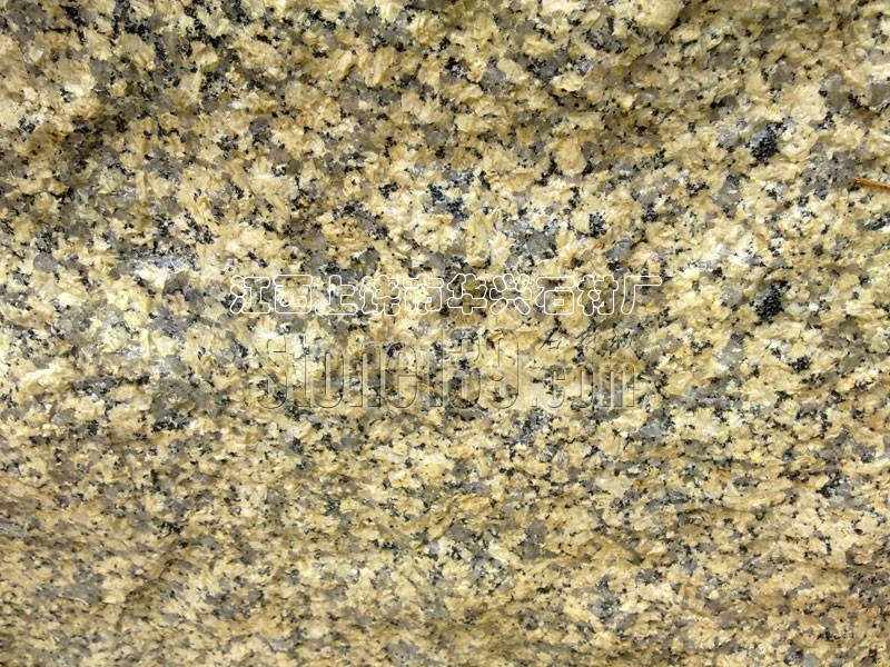 菊花黃自然面效果圖