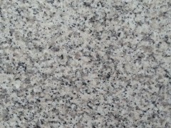 福建工廠直供芝麻灰，芝麻白花崗巖