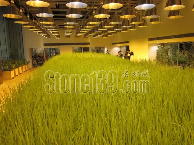 石材從業(yè)者的工作環(huán)境夢(mèng)想終極篇 辦公室的綠色