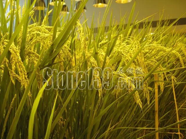 石材從業(yè)者的工作環(huán)境夢(mèng)想終極篇 辦公室的綠色