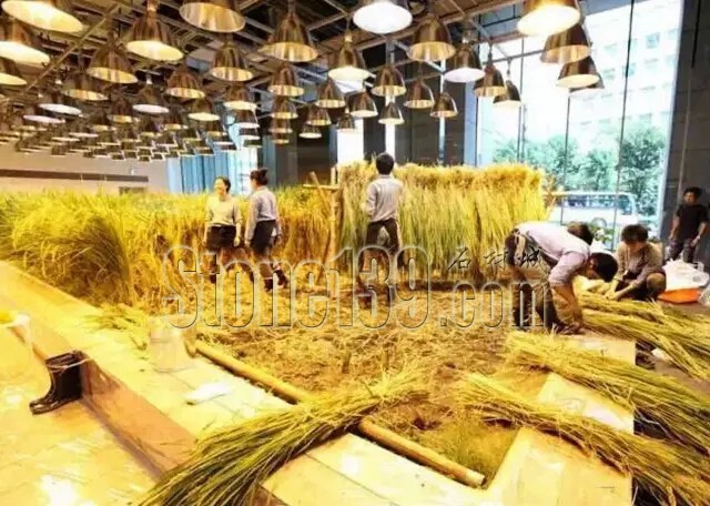 石材從業(yè)者的工作環(huán)境夢(mèng)想終極篇 辦公室的綠色