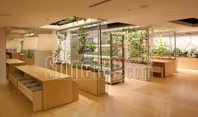 石材從業(yè)者的工作環(huán)境夢(mèng)想終極篇 辦公室的綠色