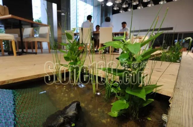 石材從業(yè)者的工作環(huán)境夢(mèng)想終極篇 辦公室的綠色
