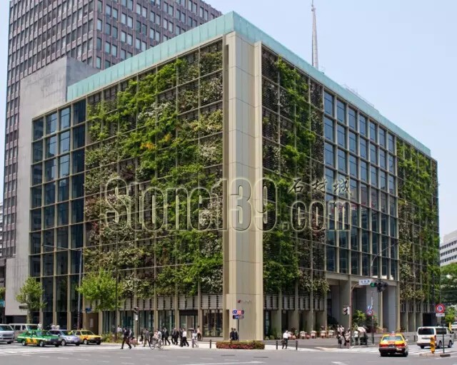 石材從業(yè)者的工作環(huán)境夢(mèng)想終極篇 辦公室的綠色