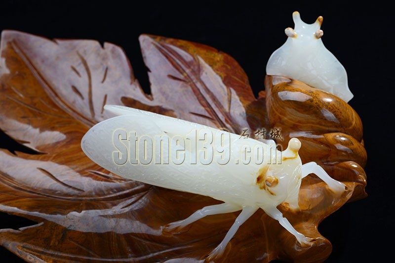 水頭玉滿天下玉石精品圖集欣賞