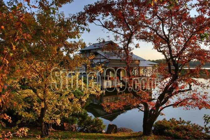 日式風格的園林景觀裝飾有山有水有石材