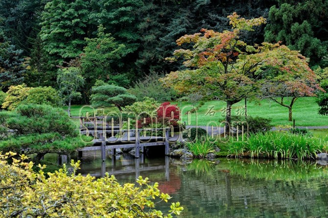 日式風格的園林景觀裝飾有山有水有石材