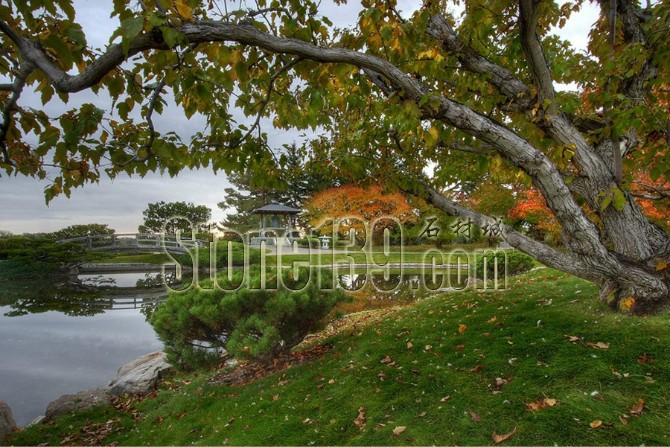 日式風格的園林景觀裝飾有山有水有石材