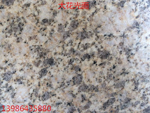 黃金麻大花光面