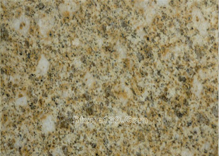 卡基諾金大黃_副本