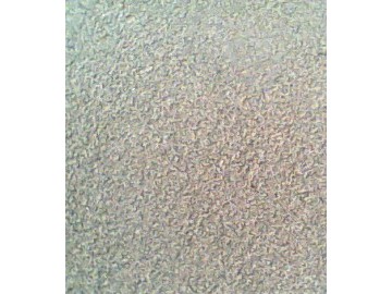 廠銷芝麻灰淺灰