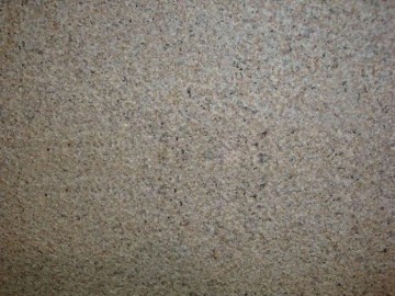 漳浦蝦紅荔枝面