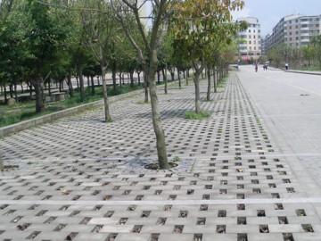 達(dá)州青地鋪板 臺階石 路邊石地鋪