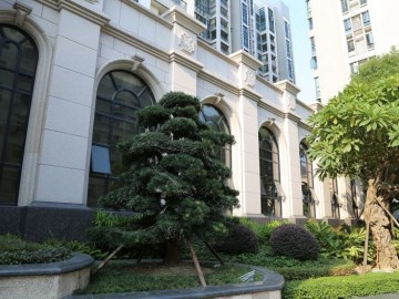 大型小區工地石材里面外墻裝飾