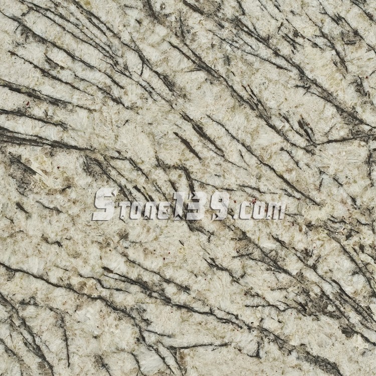 藍冰花（亞非藍、小藍鉆、灰鉆、冰花藍）花崗巖