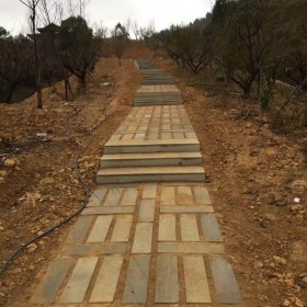 達州青石 青石 臺階石 環境石材