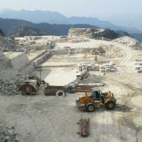 江西 海地金鉆 菊花黃 荒料供應