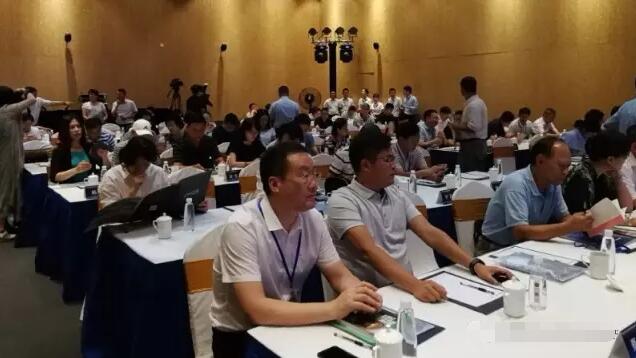 中國(guó)石材協(xié)會(huì)流通專業(yè)委員會(huì)在上海成立