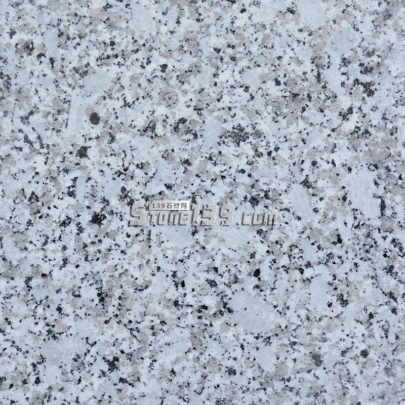 廣東白麻（芭拉白、巴拉花、大白花）的圖文對比