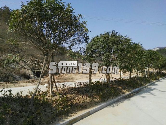 隨州石材變“石材園”為“生態園”、“示范園”、“旅游園”