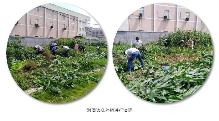 浙江平湖九龍建材市場拆除石材加工點現(xiàn)場