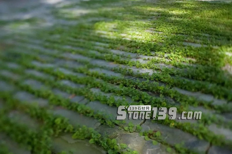 創意景觀設計,石材嵌草鋪裝惹人醉