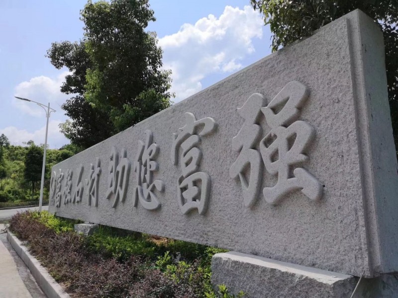 湖北麻城市委常委、統(tǒng)戰(zhàn)部部長戴昌遠(yuǎn)一行考察交流富強(qiáng)石材綠色礦山經(jīng)驗(yàn)