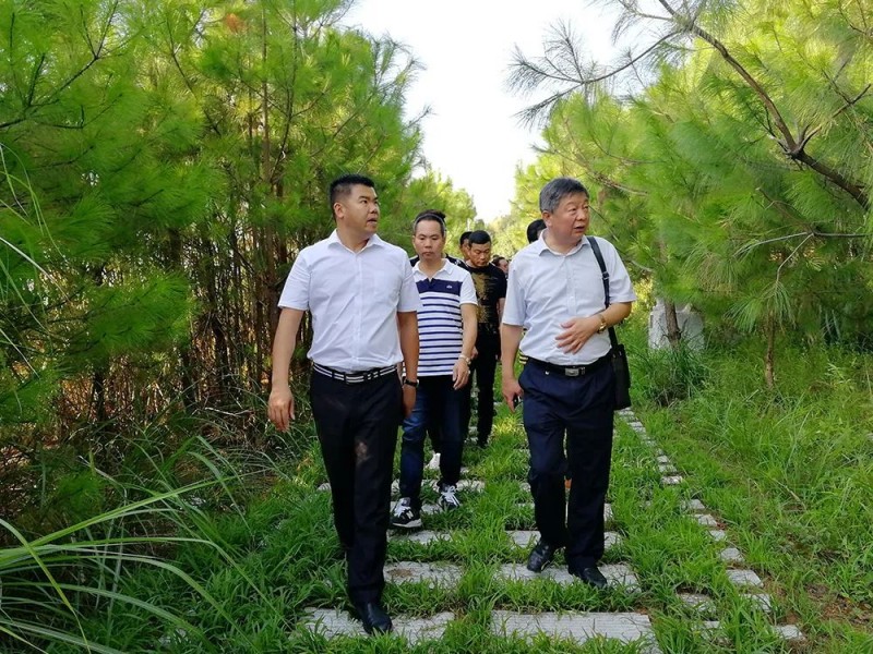 湖北麻城市委常委、統(tǒng)戰(zhàn)部部長戴昌遠(yuǎn)一行考察交流富強(qiáng)石材綠色礦山經(jīng)驗(yàn)