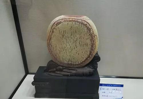 安徽首屆奇石文化交流博覽會開幕，熱乎乎的金獎都在這里了！