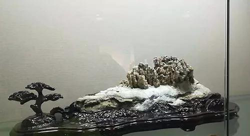 安徽首屆奇石文化交流博覽會開幕，熱乎乎的金獎都在這里了！