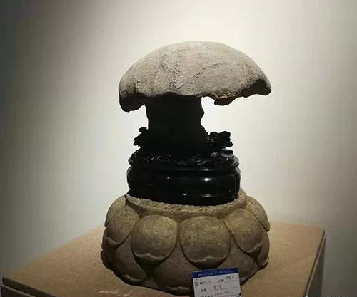 安徽首屆奇石文化交流博覽會開幕，熱乎乎的金獎都在這里了！