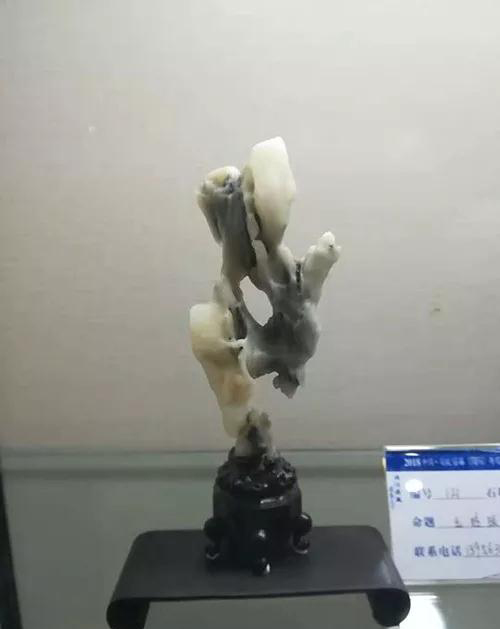 安徽首屆奇石文化交流博覽會開幕，熱乎乎的金獎都在這里了！