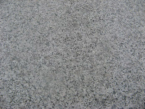 山東灰麻 五蓮灰花崗巖