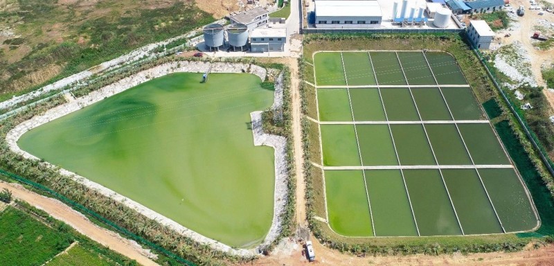 湖北黃岡政協委員蒞臨中部（麻城）石材循環經濟產業園調研！