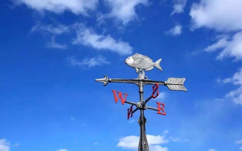 石材人，干了這碗雞湯繼續造！