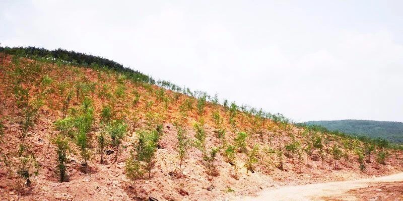 礦山環境&ldquo;開發式治理&rdquo;之路如何走？