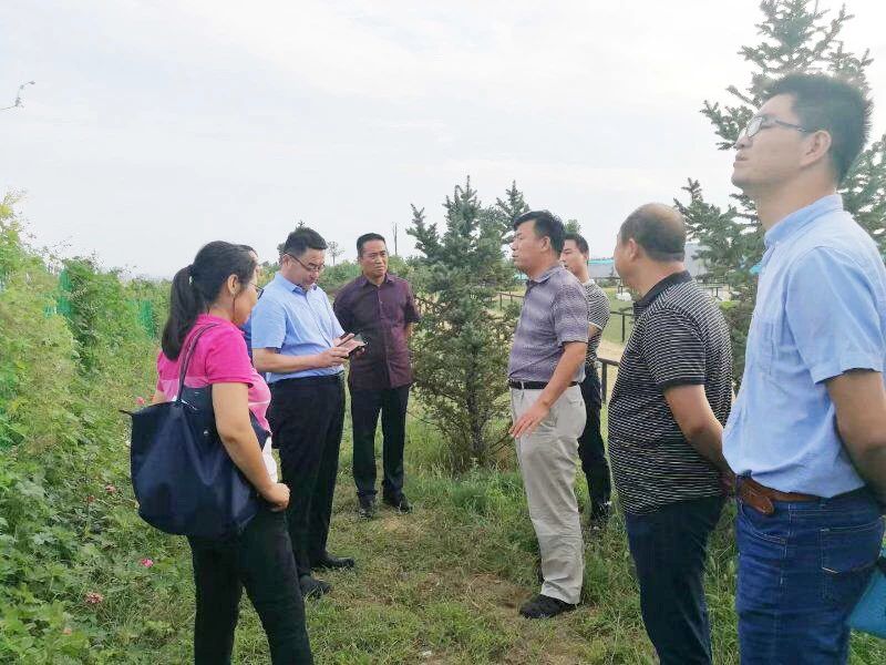 礦山環境&ldquo;開發式治理&rdquo;之路如何走？