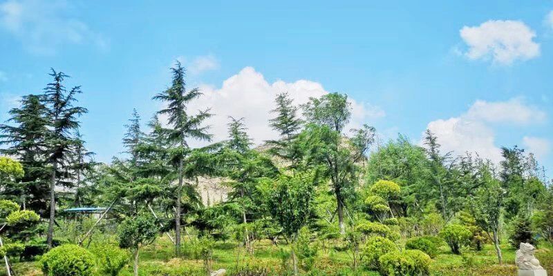 礦山環境&ldquo;開發式治理&rdquo;之路如何走？