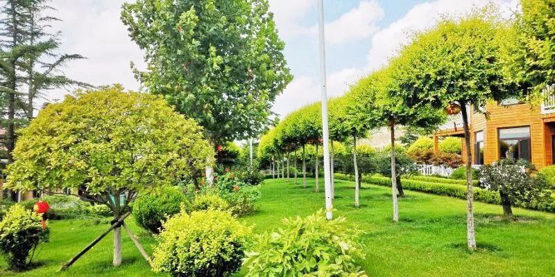 礦山環境&ldquo;開發式治理&rdquo;之路如何走？