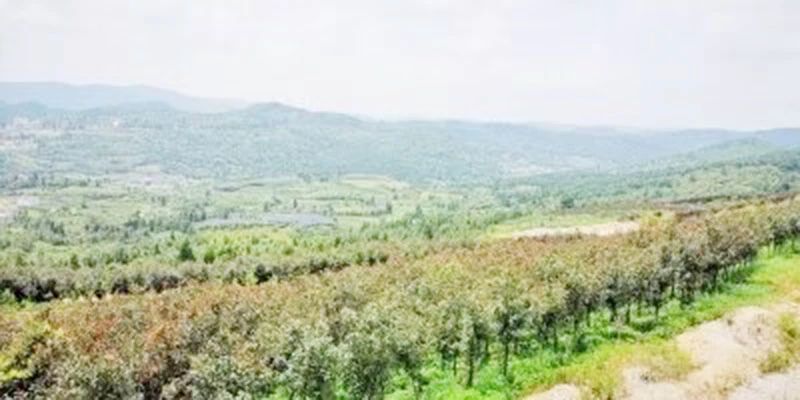 礦山環境&ldquo;開發式治理&rdquo;之路如何走？