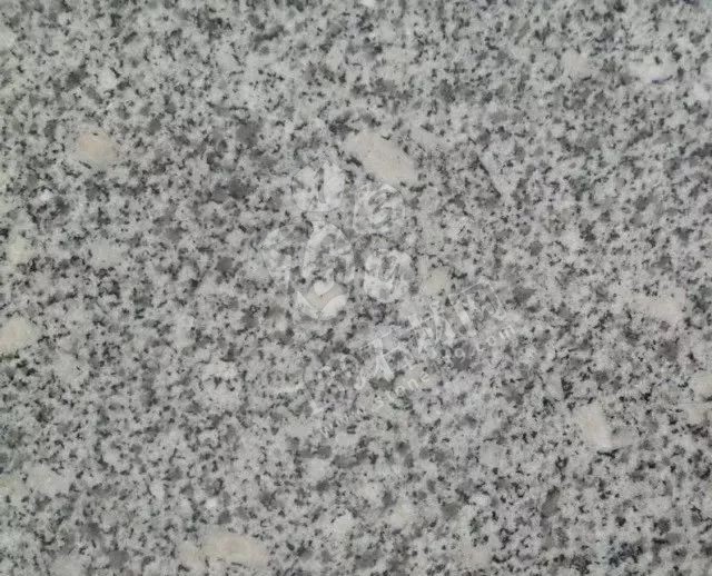 河南內(nèi)鄉(xiāng)縣板場鄉(xiāng)梨花白花崗巖石材