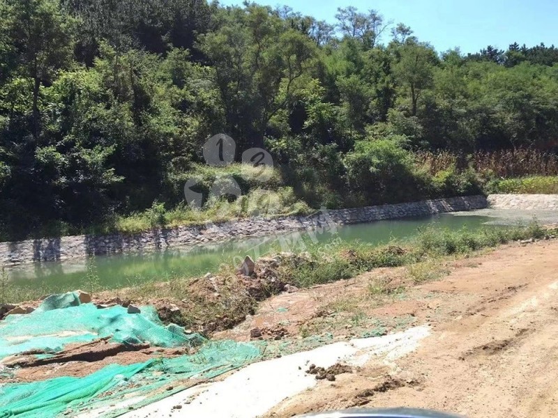 山東榮成（石島紅皇室珍珠產地）：鐵腕修復礦山，再塑生態(tài)翠屏