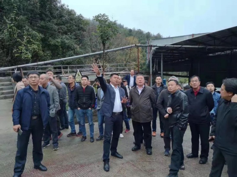 【福建富強石業】綠色石材礦山建設鑄就的富強之路