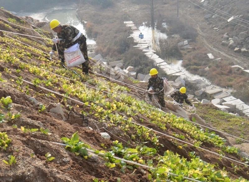 湖北隨州石材業(yè)國家鼓勵發(fā)展的產業(yè)集群！且黃金麻可以下料了！