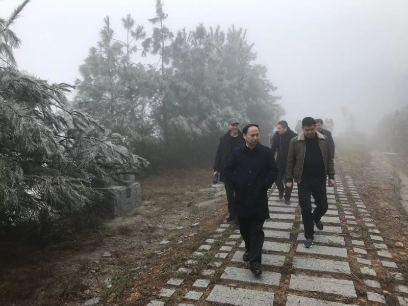 蔓延全國的富強石材礦山&ldquo;綠色發展理念&rdquo;是怎么做的？