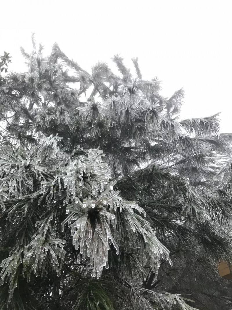 蔓延全國的富強石材礦山&ldquo;綠色發展理念&rdquo;是怎么做的？