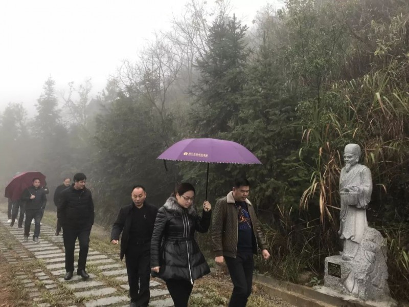 蔓延全國的富強石材礦山&ldquo;綠色發展理念&rdquo;是怎么做的？