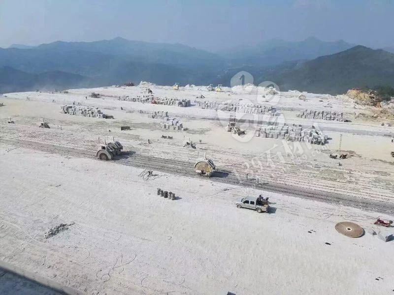 湖北羅田芝麻灰（細花）最新報價單！