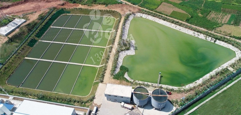 平邑、麻城、鄭州等區域石材產業各出奇招，誰能搶先轉型升級？